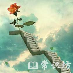 ׷ɹĴҪ