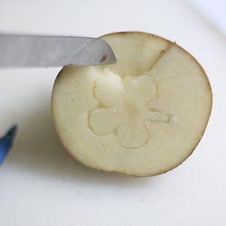 ʹź͹Ч