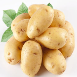 Ӫ