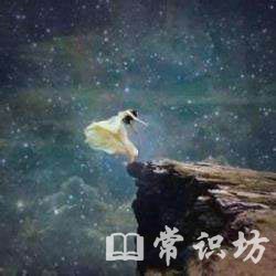 ʵϴʮ