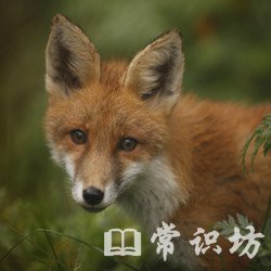 <b>ʮΣյĺ,Σյĺ</b>