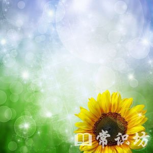 μʲô˼