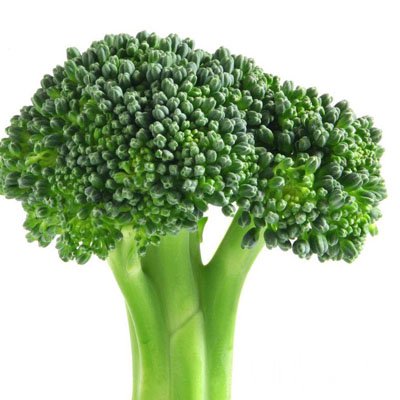 ҶʳЩҶ