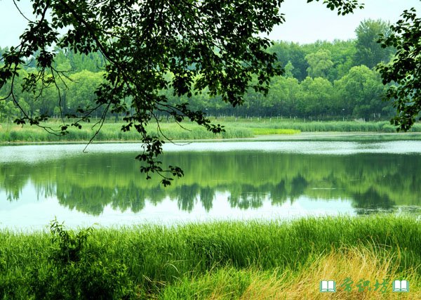 七大淡水湖泊