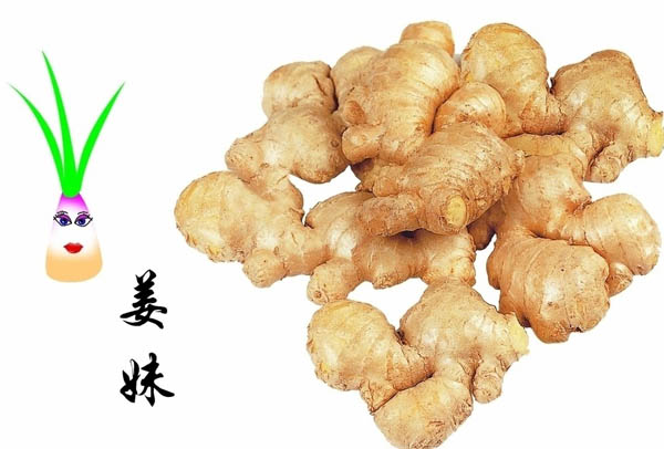 ԶԽ˲ΣԴʤ˪