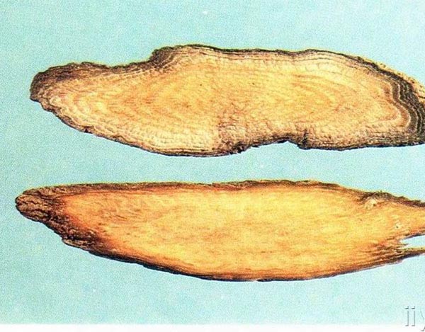 【川牛膝】--川牛膝作用功效及食用方法