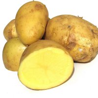 ѿʳж