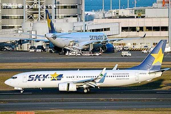 天马航空公司的介绍