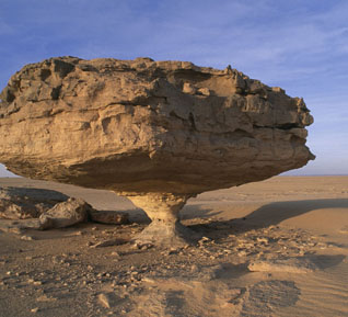 <b>ʮʯͷаtop1</b>