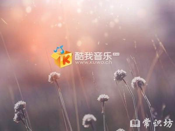 йʮAPPаtop10