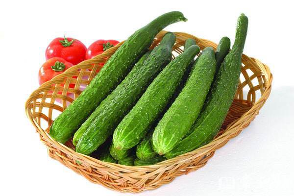 ʺϵ9Ŷʳ
