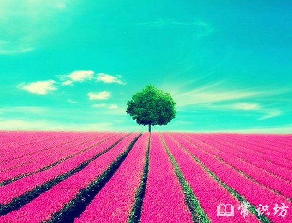 ϲŭҪʵıֳ