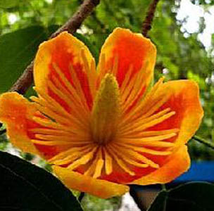 <b>йϡеʮֲ</b>