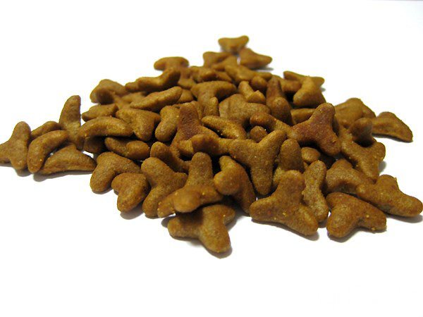 十大猫粮品牌,猫粮品牌排行榜