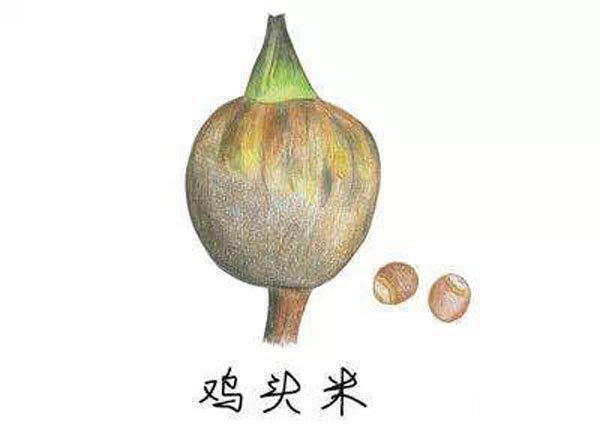 ʵô,ʵôԱȽϺ