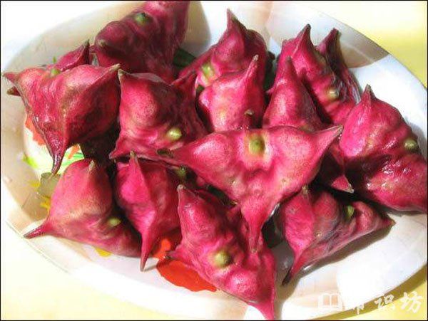 菱角怎么吃,菱角可以生吃吗?