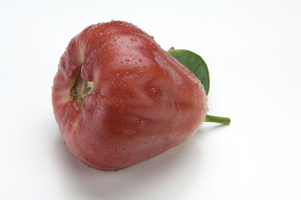 ô