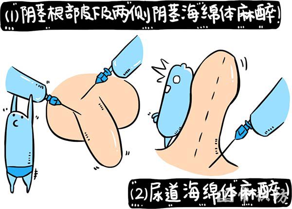 Ƥô죿ôӦ԰Ƥ