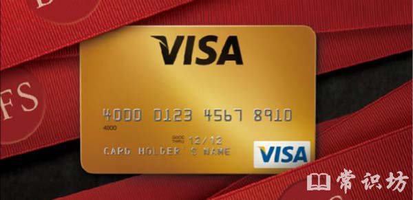 visaô죿visa֪ʶ