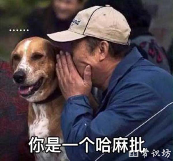 ʲô˼