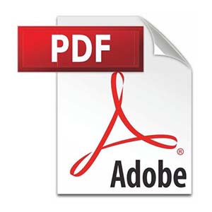 pdfʲô