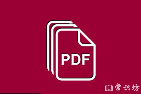 pdfʲô
