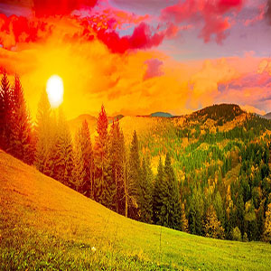 ľ