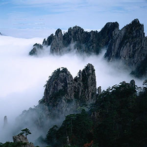 ʫľ