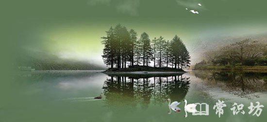 ƺ쳾ľ
