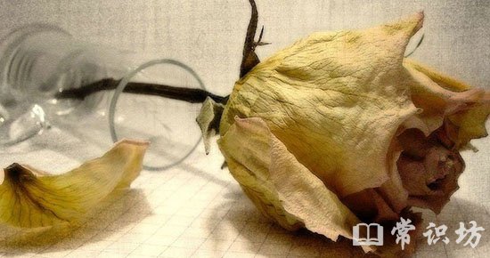 ľ