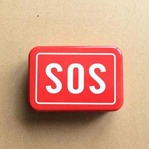 sosʲô˼