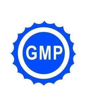 gmpʲô˼