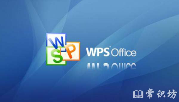 wpsʲô˼