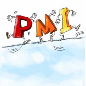 pmiָʲô˼