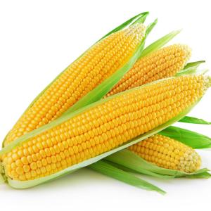 ʲô