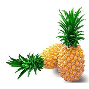ʲô