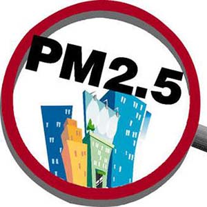 pm2.5ʲô