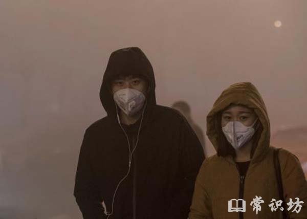 pm2.5ʲô
