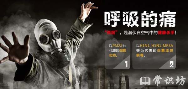 pm2.5ʲô