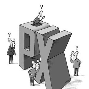 PXĿʲô˼