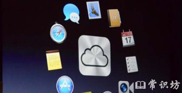 icloudʲô˼