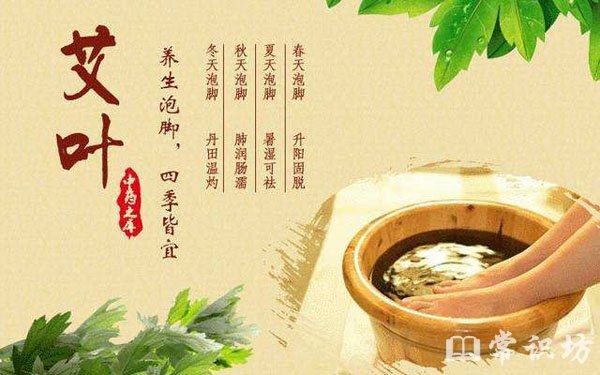 Ҷݽʲôô빦Ч