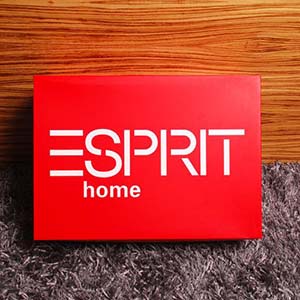 espritʲôӣ