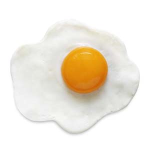 eggʲô˼