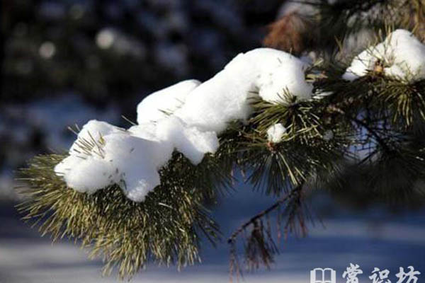 winterʲô˼