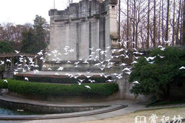 南京音乐台