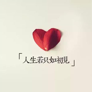 пľ¼