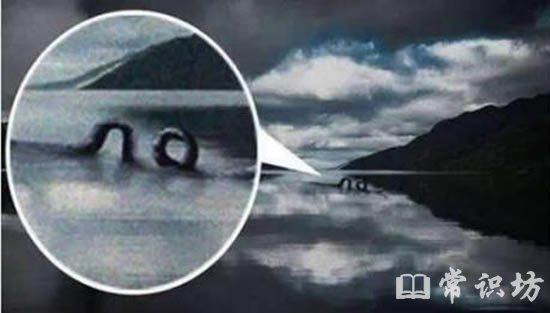 ʮˮ