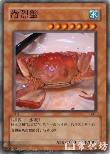 ʮ