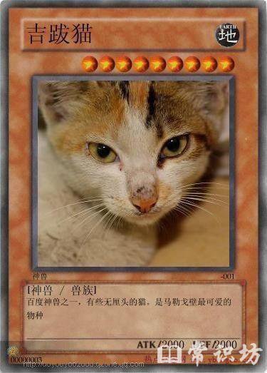 ʮ